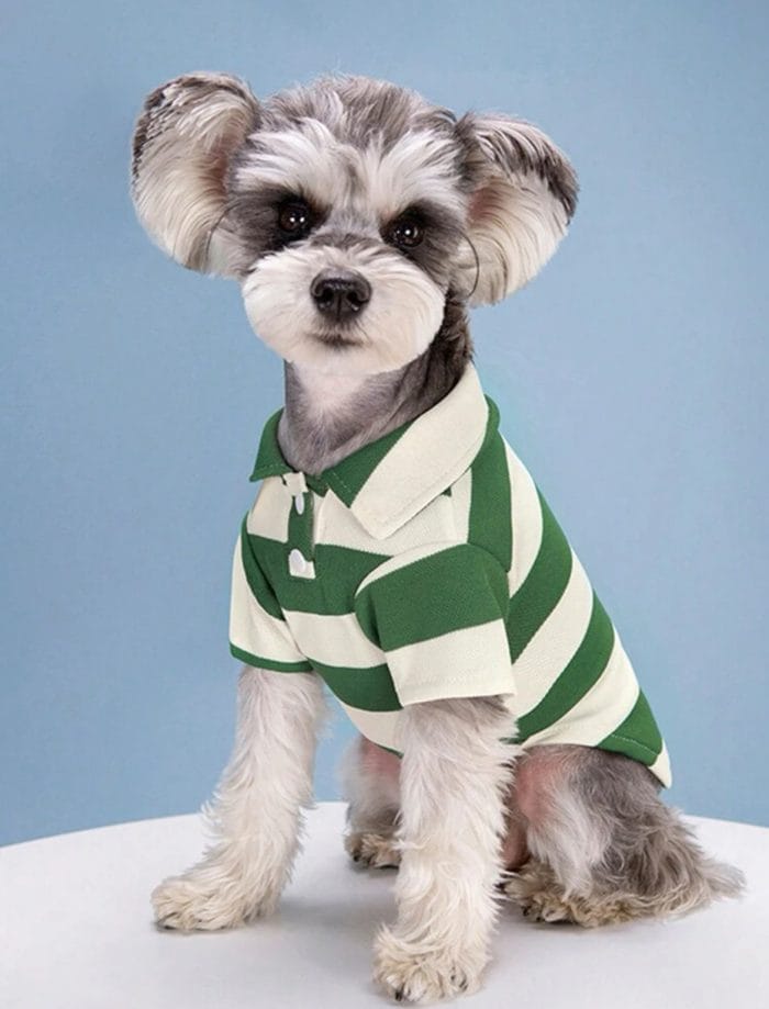Polo shirt suitable for cats and dogs - Image 2