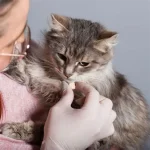 Deworming