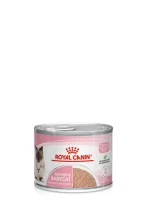 Royal Canin Mother & Babycat Ultra Soft Mousse Wet food for cats