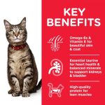 Hill’s Science Plan Adult Cat Food With Chicken (1.5Kg) - الصورة 2