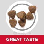 ⁦Hill’s Science Plan Kitten Food With Chicken (1.5kg)⁩ - الصورة ⁦3⁩
