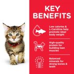 ⁦Hill’s Science Plan Kitten Food With Chicken (1.5kg)⁩ - الصورة ⁦2⁩