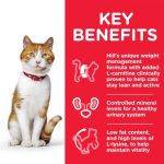 Hill’s Science Plan Sterilised Cat Young Adult With Chicken (1.5kg) - الصورة 2
