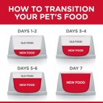 ⁦Hill’s Science Plan Kitten Food With Chicken (1.5kg)⁩ - الصورة ⁦4⁩