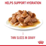 ⁦Royal Canin Hairball Care Thin Slices In Gravy 85g Pouch⁩ - الصورة ⁦2⁩