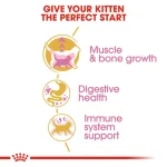 Royal Canin British shorthair Kitten Cat dry food 2kg - Image 2