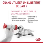 Royal Canin Babycat Milk - الصورة 4