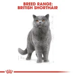 Royal Canin British shorthair adult Cat dry food 2kg - Image 3