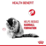 ⁦Royal Canin Hairball Care Thin Slices In Gravy 85g Pouch⁩ - الصورة ⁦3⁩