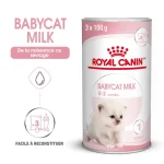 Royal Canin Babycat Milk - الصورة 2