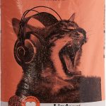 LindoCat Essential 20L Cat littre