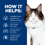 ⁦Hill’s Multi-Benefit Cat dry food 1.5kg⁩ - الصورة ⁦2⁩
